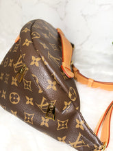 Load image into Gallery viewer, LOUIS VUITTON Monogram Bumbag