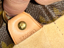 Load image into Gallery viewer, LOUIS VUITTON Monogram Luco