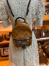 Load image into Gallery viewer, LOUIS VUITTON Palm Springs Reverse Monogram Mini