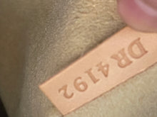 Load image into Gallery viewer, LOUIS VUITTON Monogram Canvas Estrela MM Bag