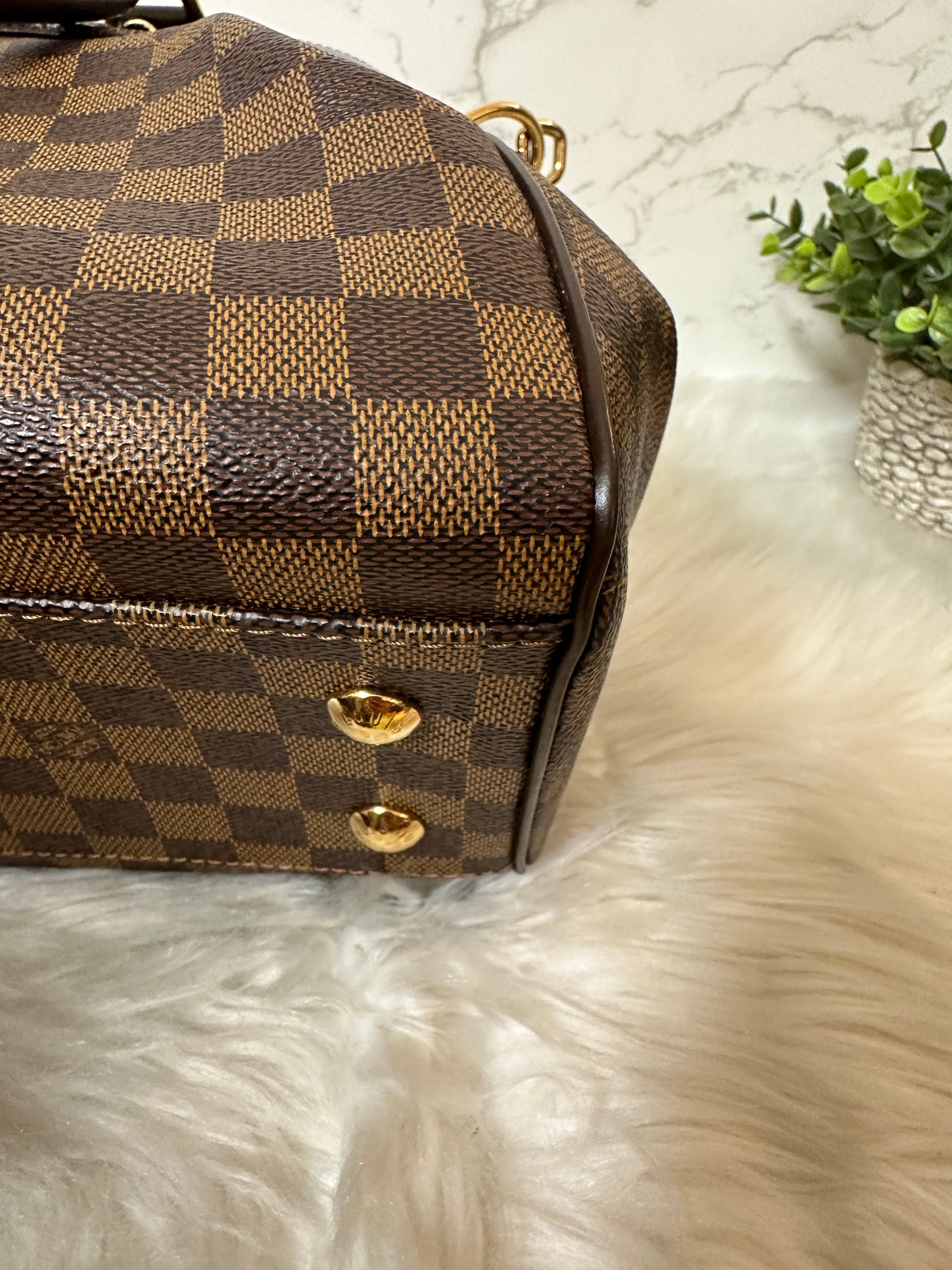 Louis Vuitton Damier Ebene Trevi PM - A World Of Goods For You, LLC