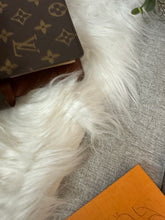 Load image into Gallery viewer, LOUIS VUITTON Monogram Ring Agenda MM
