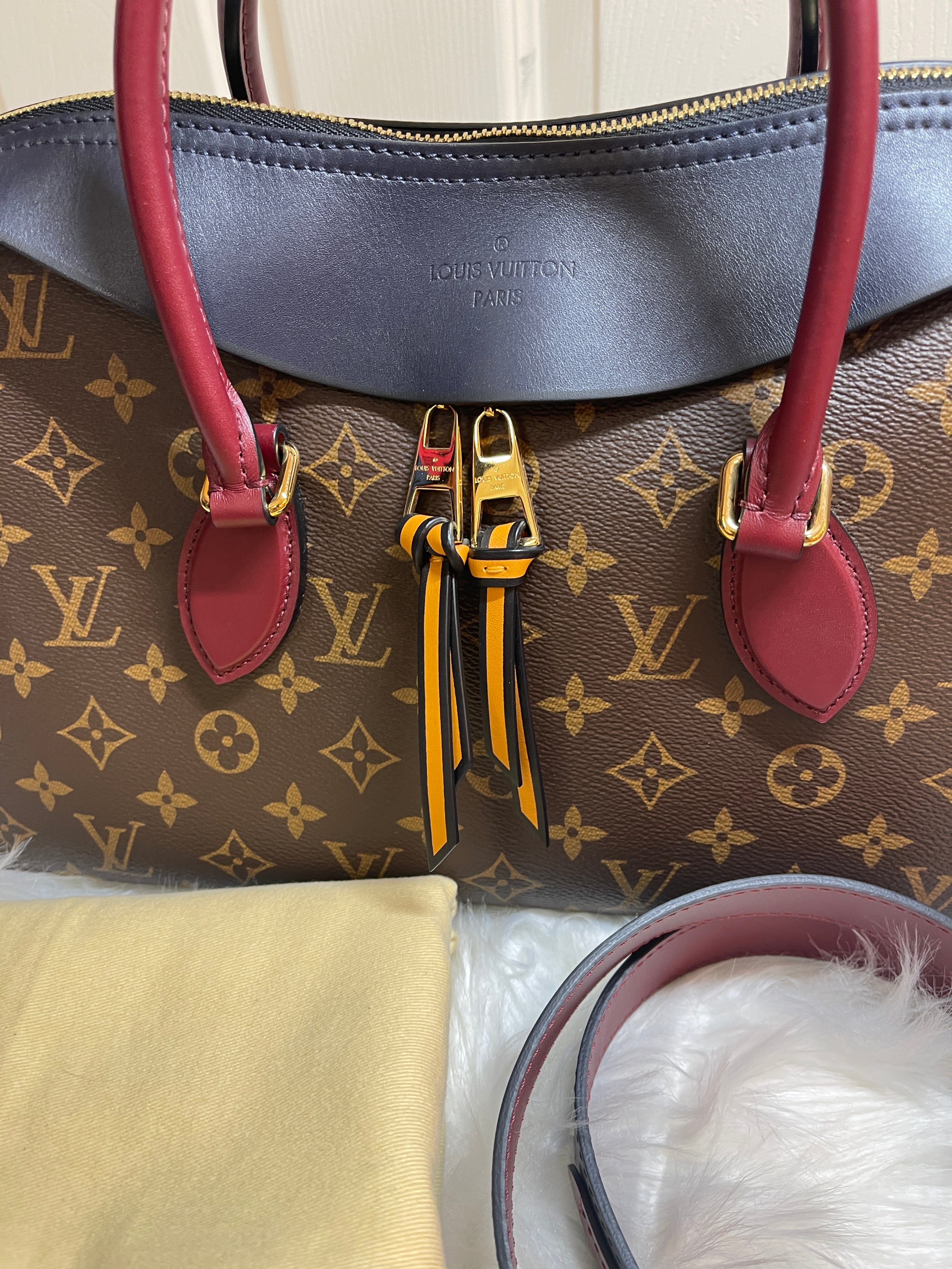LOUIS VUITTON Monogram Canvas and Tricolor Leather Tuileries NM Bag –  PearlaaClosetLLC